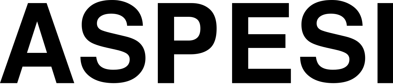 Aspesi NMI